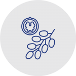 ADMPA Packaging Machines